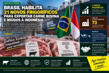 Brasil habilita 21 novos frigoríficos para exportar carne bovina e miúdos à Indonésia