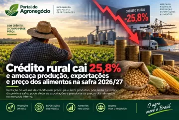 Crédito rural cai 25,8% e ameaça produção, exportações e preço dos alimentos na safra 2026/27