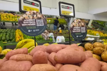 Batata tem apenas 52 calorias a cada 100 gramas, destaca campanha da ABBIN em Minas Gerais