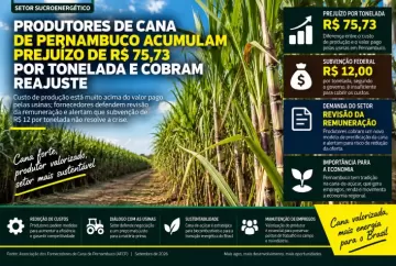 Produtores de cana de Pernambuco acumulam prejuízo de R$ 75,73 por tonelada e cobram reajuste