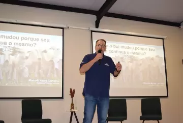 Novas forrageiras elevam ganhos da pecuária em até 20% por hectare, aponta Embrapa
