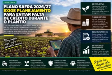 Plano Safra 2026/27 exige planejamento para evitar falta de crédito durante o plantio