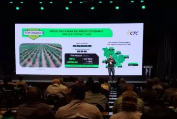 Genética e planejamento varietal impulsionam produtividade dos canaviais