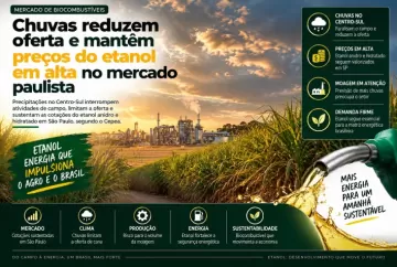 Chuvas reduzem oferta e mantêm preços do etanol em alta no mercado paulista