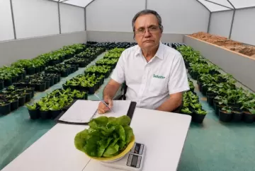 Pesquisa da UFV impulsionou uso de silicatos na correção do solo e na nutrição das plantas