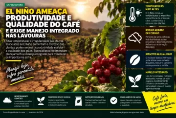 El Niño ameaça produtividade e qualidade do café e exige manejo integrado nas lavouras