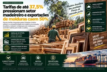 Tarifas de até 37,5% pressionam setor madeireiro e exportações de molduras caem 50%