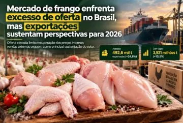 Mercado de frango enfrenta excesso de oferta no Brasil, mas exportações sustentam perspectivas para 2026