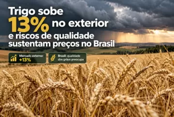 Trigo sobe 13% no exterior e riscos de qualidade sustentam preços no Brasil