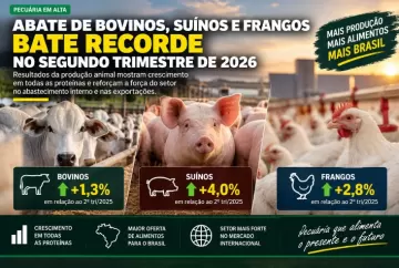 Abate de bovinos, suínos e frangos bate recorde no segundo trimestre de 2026