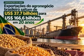 Exportações do agronegócio brasileiro saltam de US$ 37,7 bilhões para US$ 166,6 bilhões em 20 anos