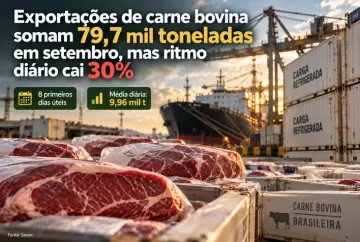 Exportações de carne bovina somam 79,7 mil toneladas em setembro, mas ritmo diário cai 30%