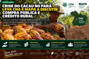 Crise do cacau no Pará leva CNA e Mapa a discutir compra pública e crédito rural