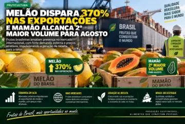 Melão dispara 370% nas exportações e mamão alcança 2º maior volume para agosto