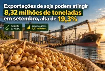 Exportações de soja podem atingir 8,32 milhões de toneladas em setembro, alta de 19,3%