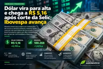 Dólar vira para alta e chega a R$ 5,16 após corte da Selic; Ibovespa avança