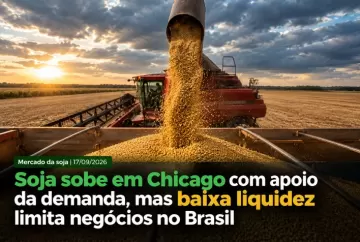 Soja sobe em Chicago com apoio da demanda, mas baixa liquidez limita negócios no Brasil