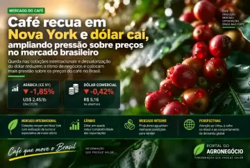 Café recua em Nova York e dólar cai, ampliando pressão sobre preços no mercado brasileiro
