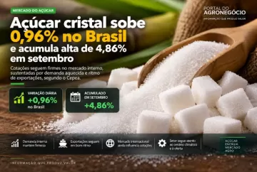 Açúcar cristal sobe 0,96% no Brasil e acumula alta de 4,86% em setembro