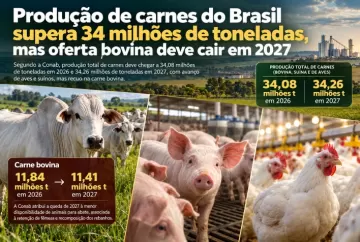Produção de carnes do Brasil supera 34 milhões de toneladas, mas oferta bovina deve cair em 2027