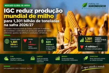 IGC reduz produção mundial de milho para 1,301 bilhão de toneladas na safra 2026/27