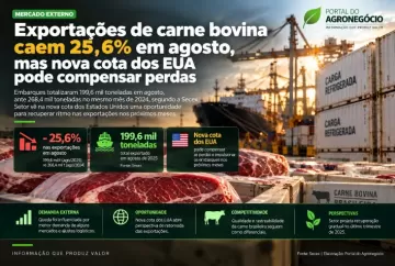 Exportações de carne bovina caem 25,6% em agosto, mas nova cota dos EUA pode compensar perdas