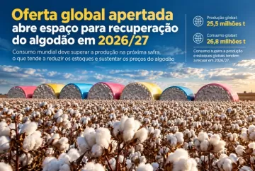 Oferta global apertada abre espaço para recuperação do algodão em 2026/27