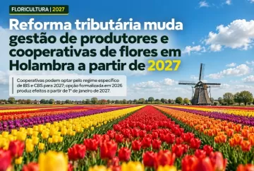Reforma tributária muda gestão de produtores e cooperativas de flores em Holambra a partir de 2027