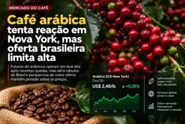 Café arábica tenta reação em Nova York, mas oferta brasileira limita alta