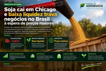 Soja cai em Chicago e baixa liquidez trava negócios no Brasil à espera de preços maiores