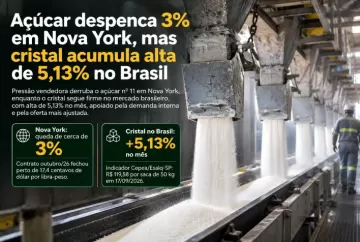 Açúcar despenca 3% em Nova York, mas cristal acumula alta de 5,13% no Brasil
