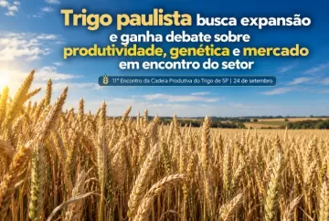 Trigo paulista busca expansão e ganha debate sobre produtividade, genética e mercado em encontro do setor