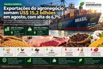 Exportações do agronegócio somam US$ 15,2 bilhões em agosto, com alta de 6,7%