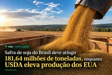 Safra de soja do Brasil deve atingir 181,64 milhões de toneladas, enquanto USDA eleva produção dos EUA