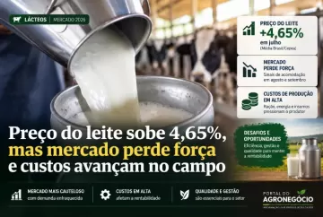 Preço do leite sobe 4,65%, mas mercado perde força e custos avançam no campo