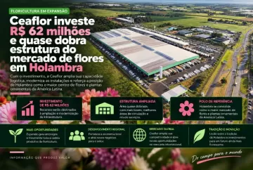Ceaflor investe R$ 62 milhões e quase dobra estrutura do mercado de flores em Holambra