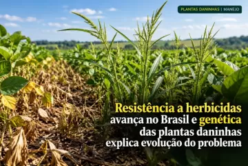 Resistência a herbicidas avança no Brasil e genética das plantas daninhas explica evolução do problema