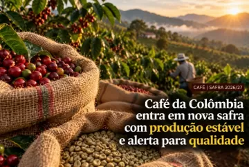 Café da Colômbia entra em nova safra com produção estável e alerta para qualidade