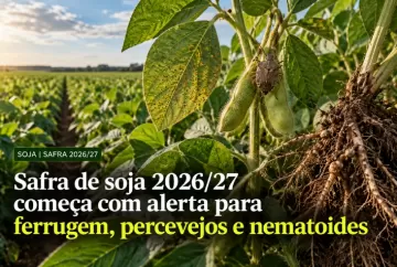 Safra de soja 2026/27 começa com alerta para ferrugem, percevejos e nematoides