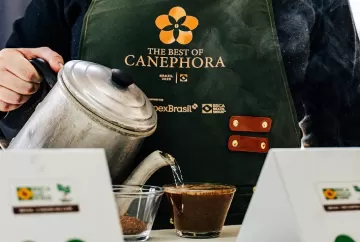 Brasil destaca cafés canéforas especiais e prepara estreia internacional de robusta e conilon