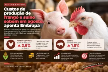 Custos de produção de frango e suíno sobem em agosto, aponta Embrapa