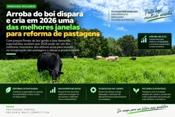 Arroba do boi dispara e cria em 2026 uma das melhores janelas para reforma de pastagens