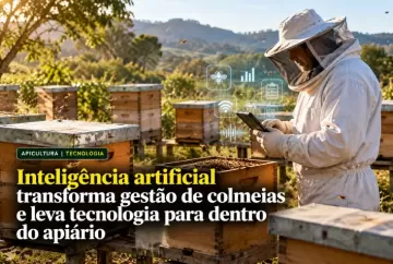 Inteligência artificial transforma gestão de colmeias e leva tecnologia para dentro do apiário