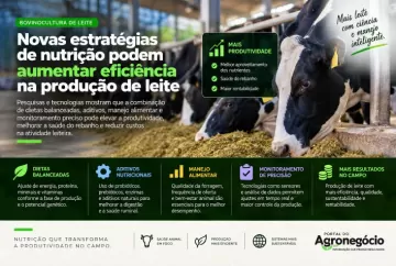 Novas estratégias de nutrição podem aumentar eficiência na produção de leite