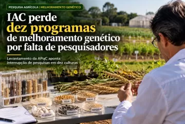 IAC perde dez programas de melhoramento genético por falta de pesquisadores, aponta levantamento