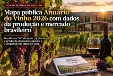 Mapa publica Anuário do Vinho 2026 com dados da produção e mercado brasileiro