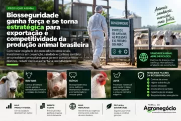 Biosseguridade ganha força e se torna estratégica para exportação e competitividade da produção animal brasileira