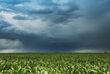 El Niño exige planejamento financeiro reforçado para produtores na safra 2026/27