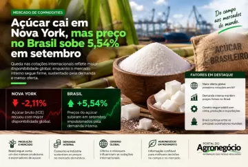 Açúcar cai em Nova York, mas preço no Brasil sobe 5,54% em setembro