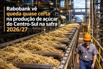 Rabobank vê queda quase certa na produção de açúcar do Centro-Sul na safra 2026/27